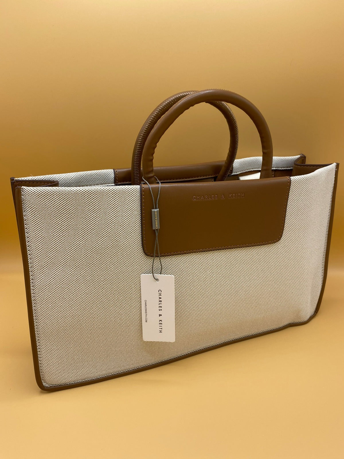 Charles and Keith Bag