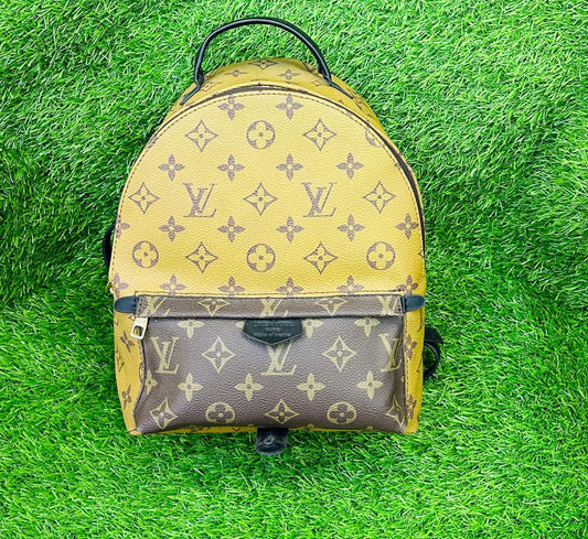 Louis Vuitton Palm Springs Mini Backpack