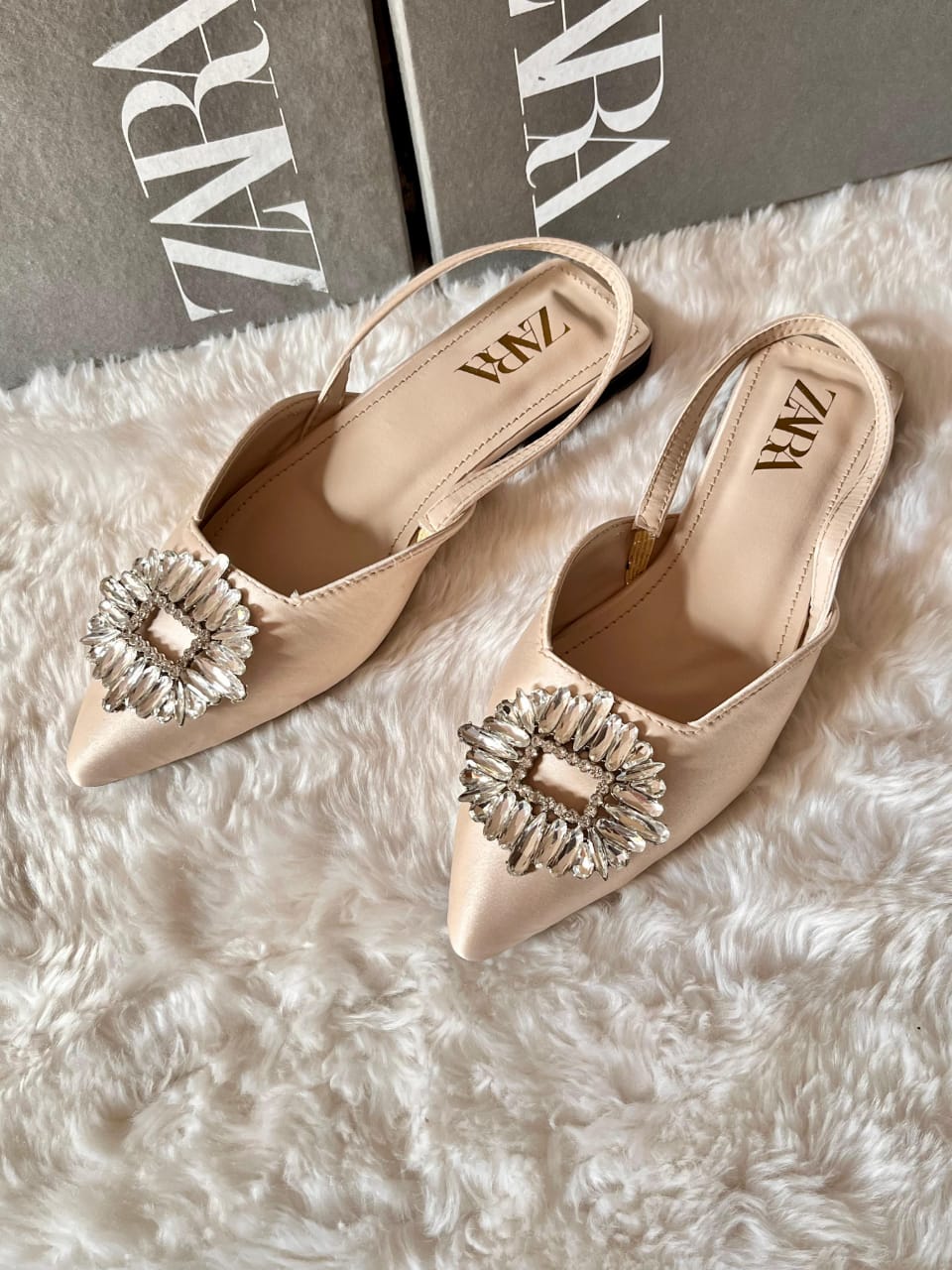 Zara Ballet Flat Pumps