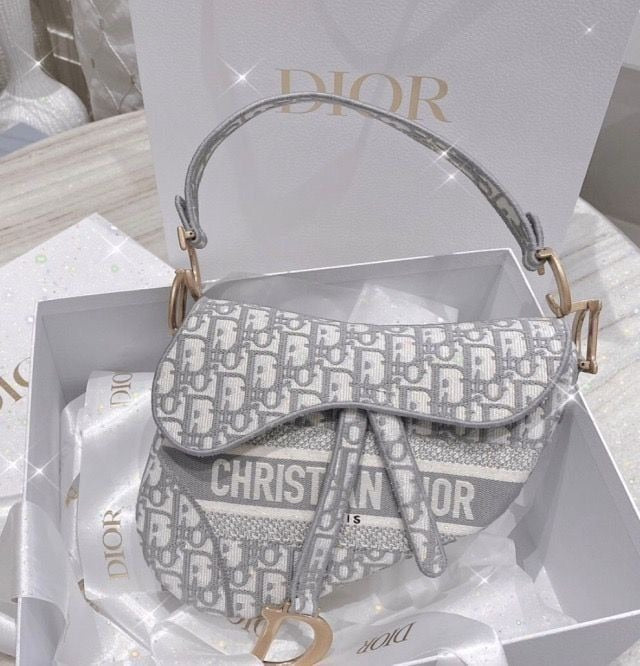 Dior Saddle Bags