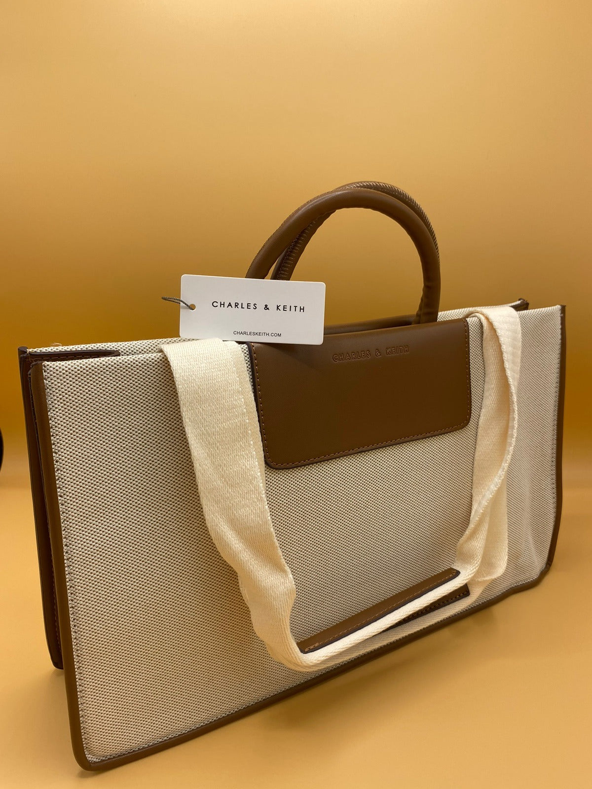 Charles and Keith Bag